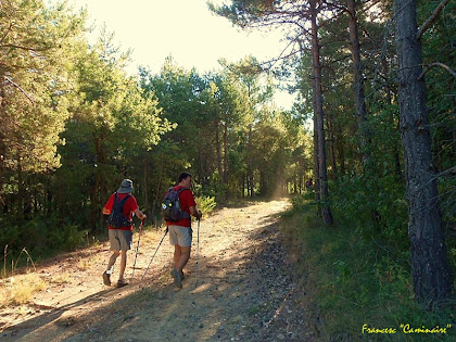 Caminant entre la Serra i la Carena del Castell. Autor: Francesc "Caminaire" Caminant entre la Serra i la Carena del Castell. Autor: Francesc "Caminaire"