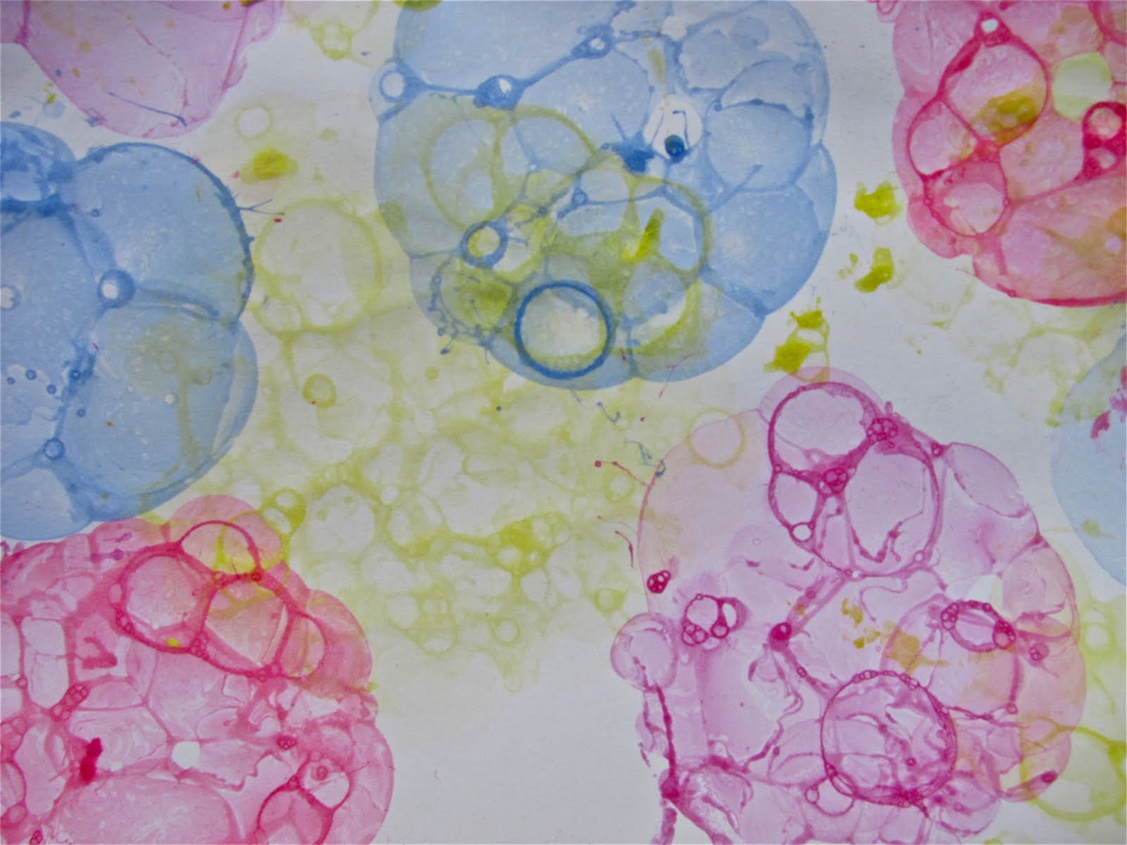 The Chocolate Muffin Tree Revisiting Creating Bubble Prints