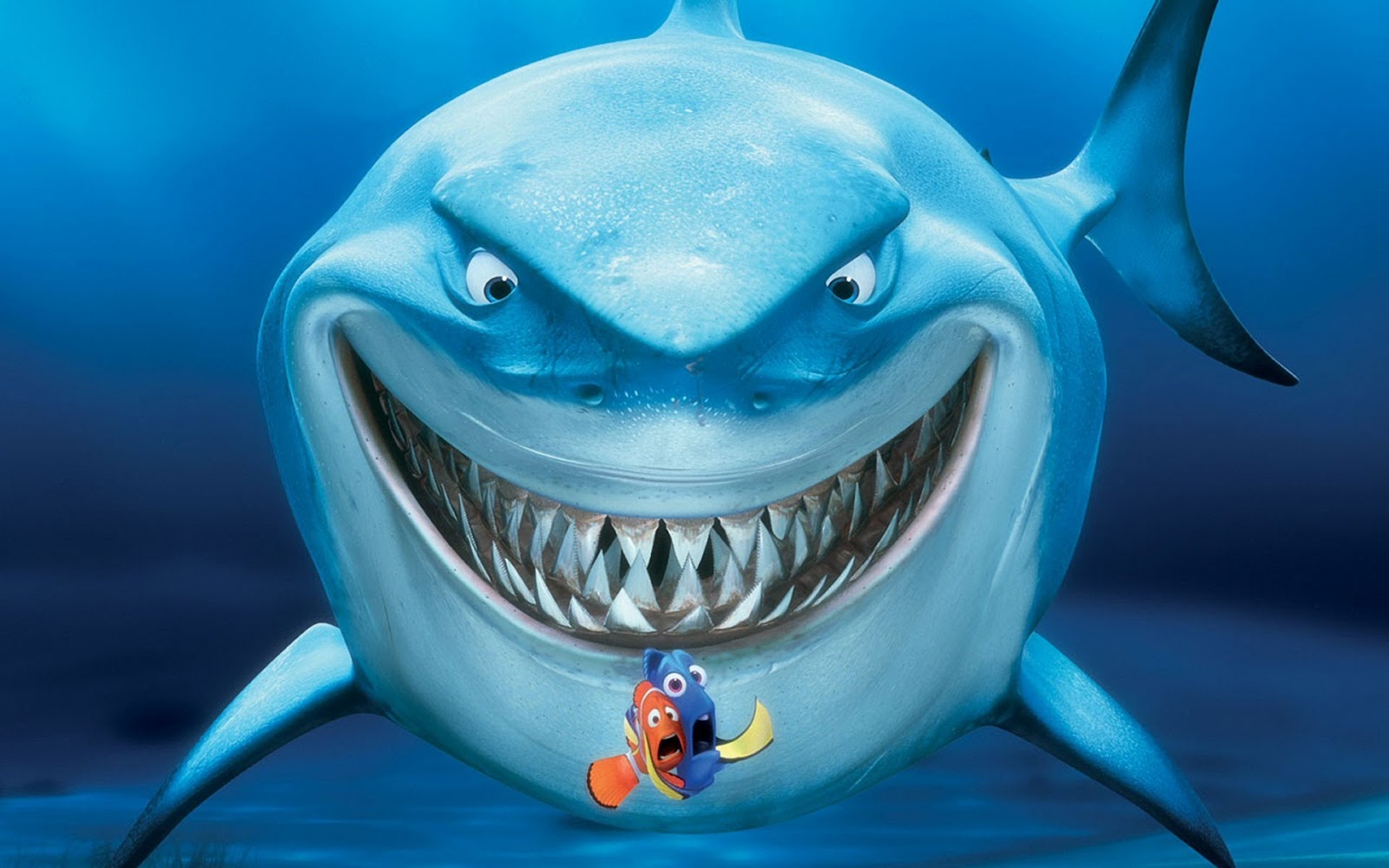 Shark hd wallpapers | Movies Songs Lyrics