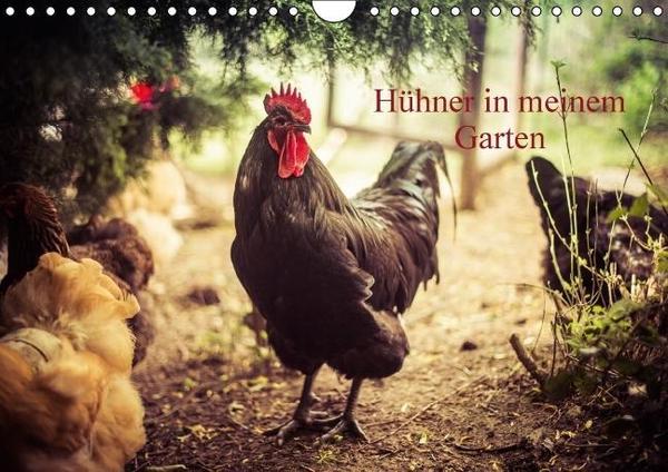 Huhnerliebe Januar 2016