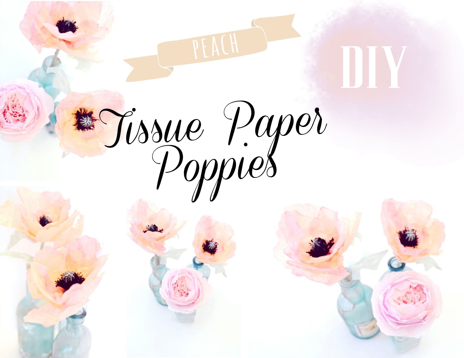 peach tissue paper poppies tutorial