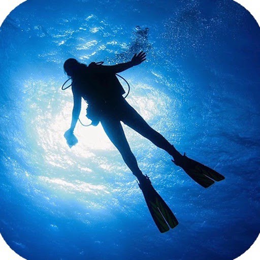 Scuba Diving Tips and Precautions