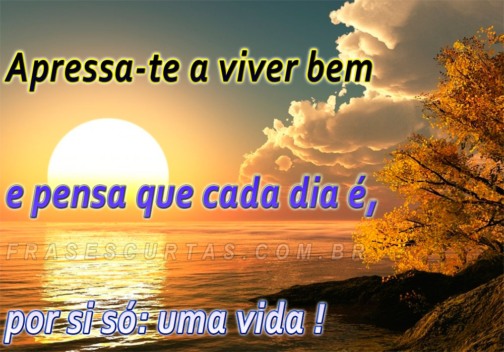 Frases de Auto Ajuda pensamentos ~ Imagens em Vídeo