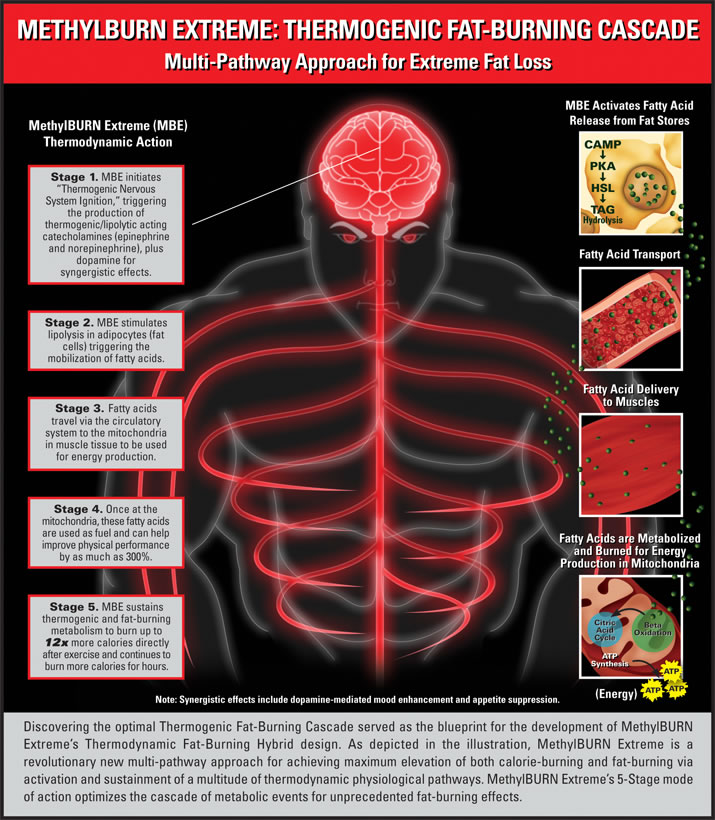 HOW THERMOGENICS FAT BURNER CAN EVENTUALLY MAKE YOU FATTER AND SMALLER