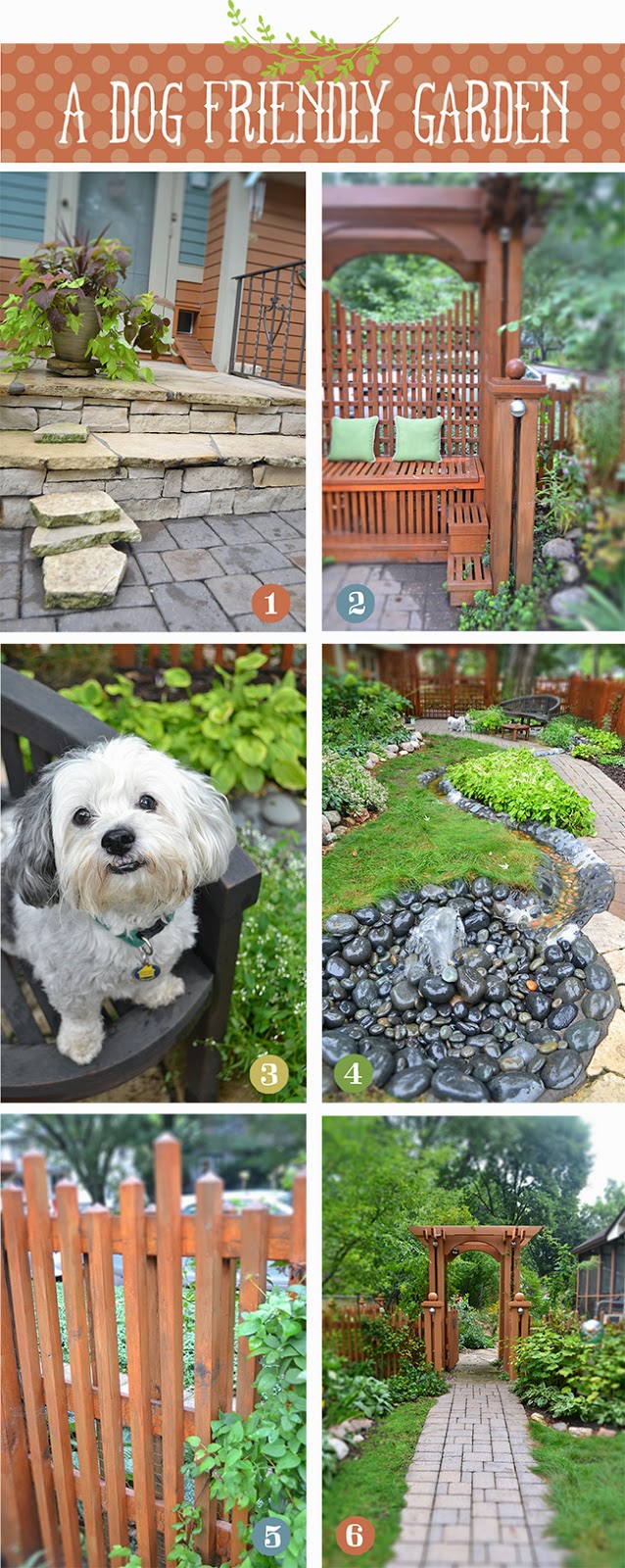 Lisa Orgler Design A DOG FRIENDLY GARDEN