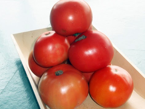 Tomates caseros