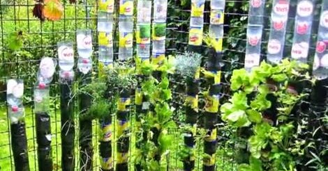 Fitorremediación del Aire Interior: Jardín Vertical para Mini Balcón