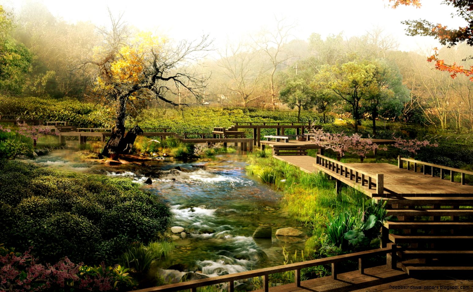 beautifull wallpapers beautifull wallpapers