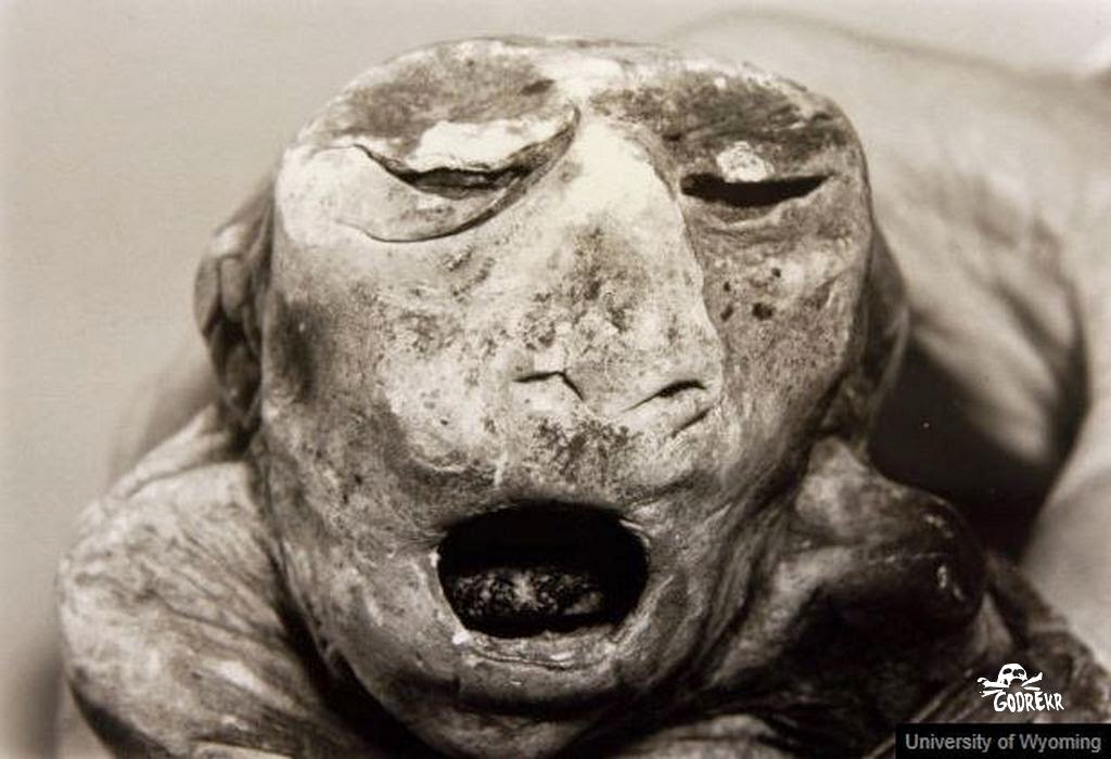 GODREKR: Meet Chiquita: A tiny, blonde, 500-year-old Wyoming mummy