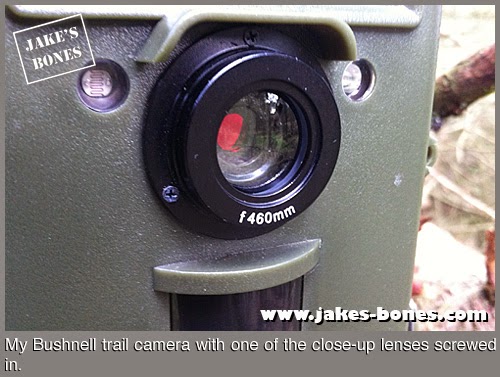 Everything I Ve Learned About Trail Cameras Jake S Bones