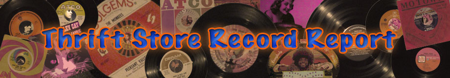 Thrift Store Record Report