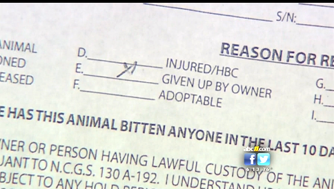 Nc Dog Bite Law Quarantine Nc Dog Bite Law Quarantine