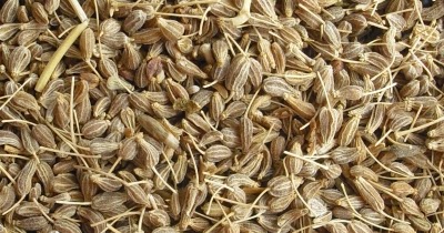 Comprar pastilhas por um levantamento de potência