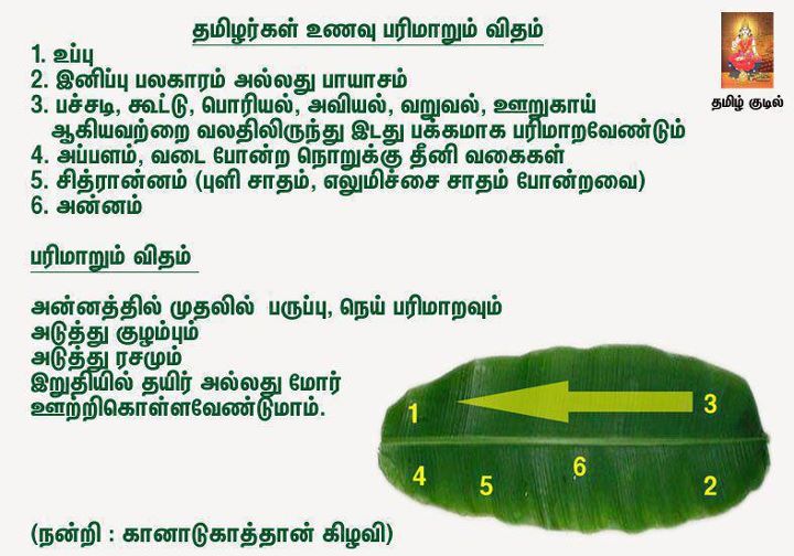 Image result for படித்ததில் பிடித்த தத்துவங்கள்