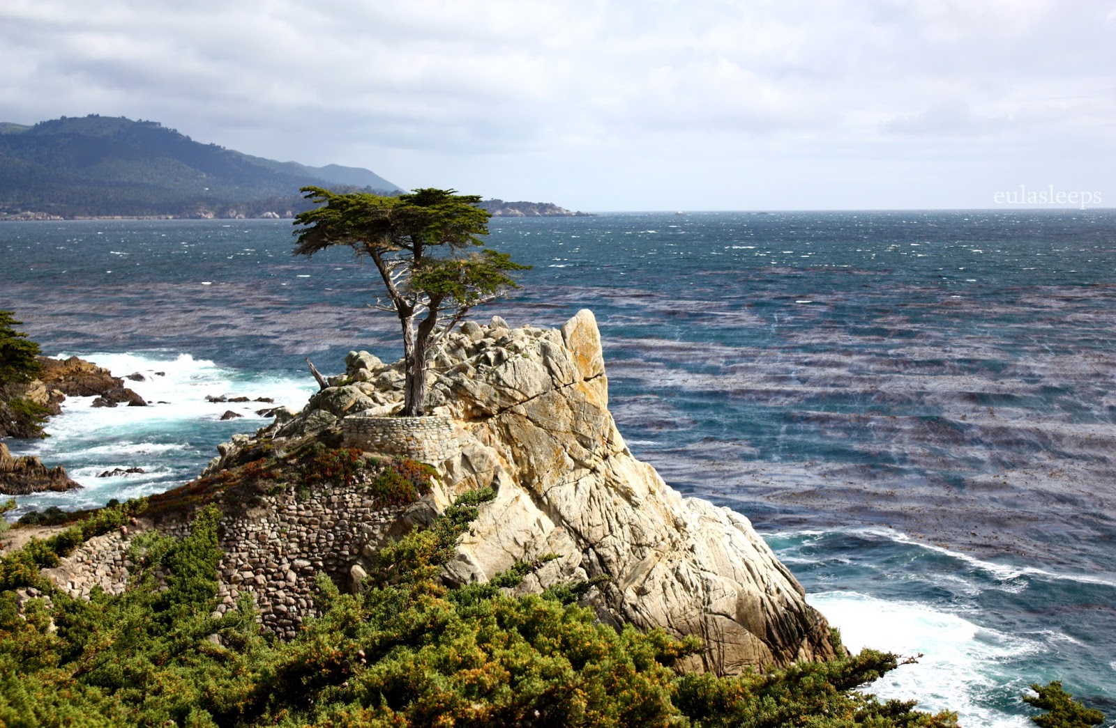 eula sleeps Pebble Beach 17Mile Drive