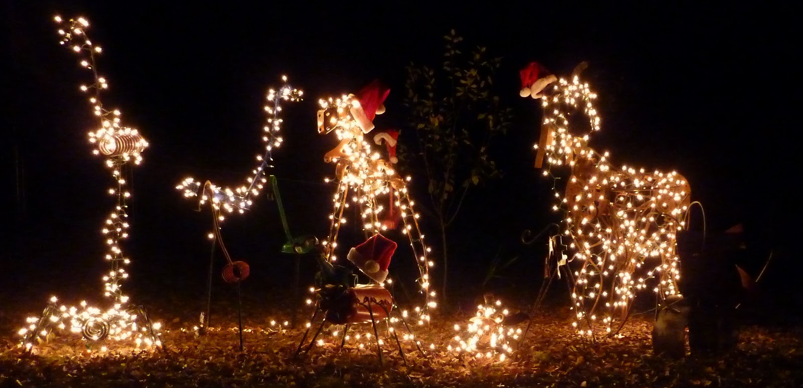 knights airport limo rhode island