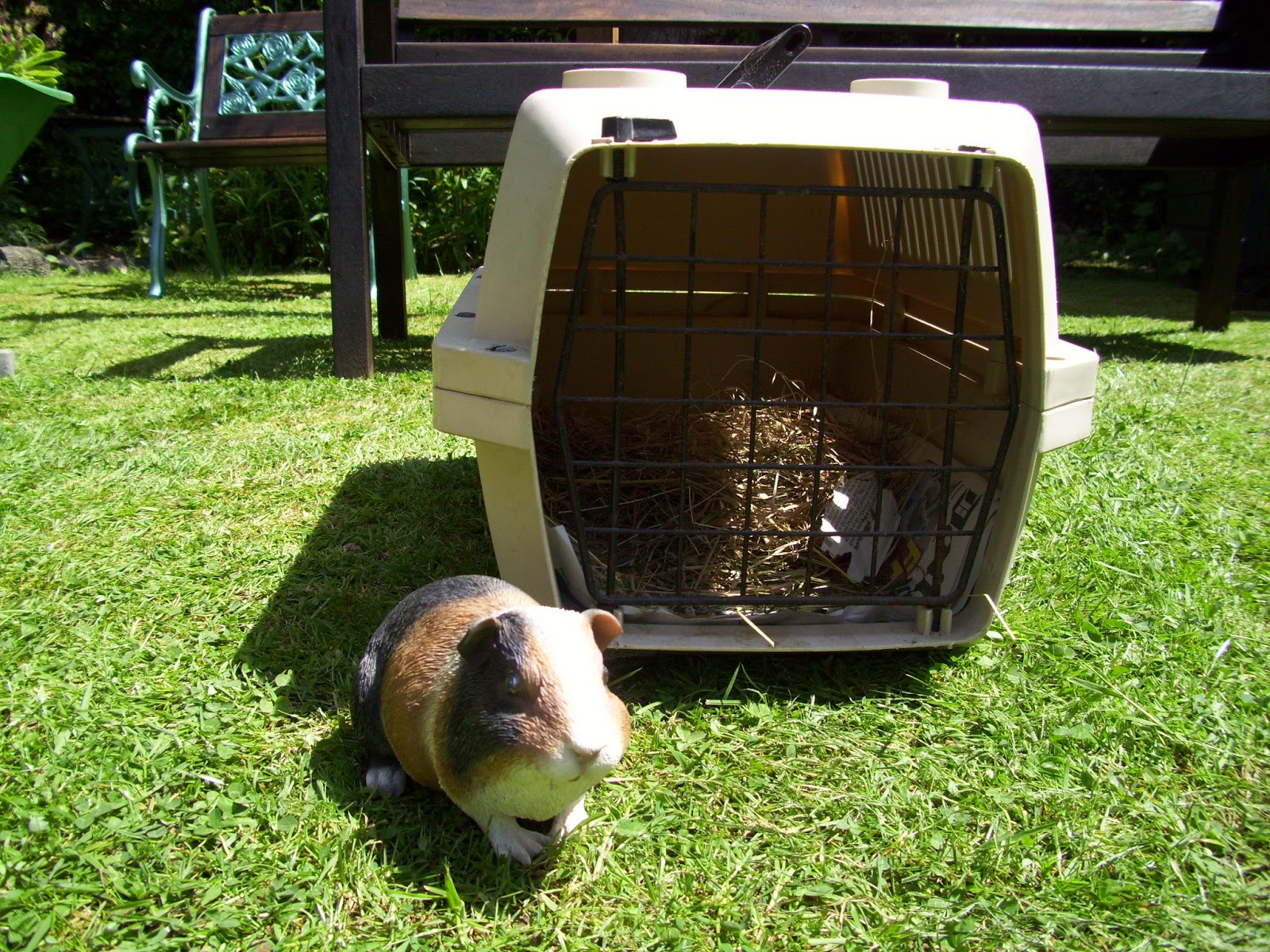 Undercover Guinea Pigs Piggy Carriers