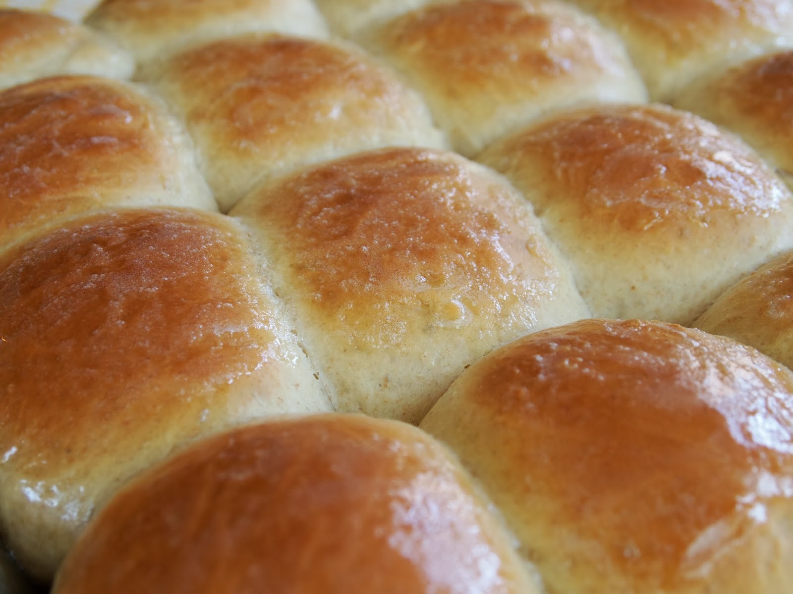 My Girlfriend's Best Recipes Soft White Dinner Rolls