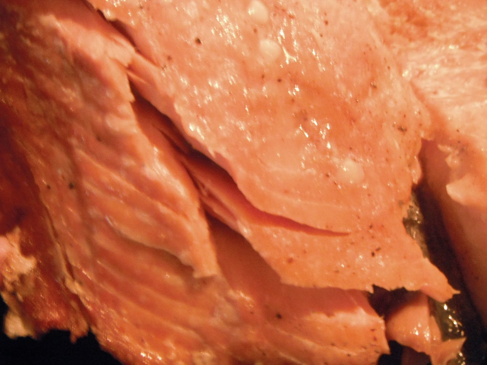 Food Obsession Smoked Salmon on the Gas Grill