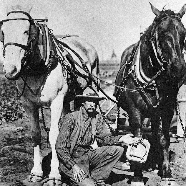 O.C. History Roundup "Show & Tell" at Orange County Historical Society