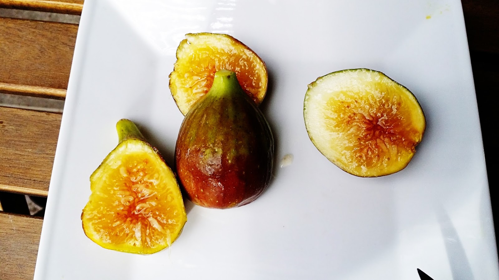 Seattle Garden & Fruit Adventures Harvesting Golden Riverside Fig in