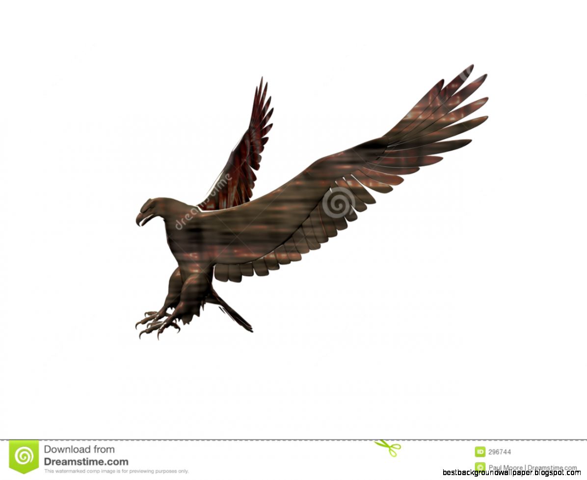Fierce Eagle Stock Images   Image 296744 Fierce Eagle Stock Images   Image 296744