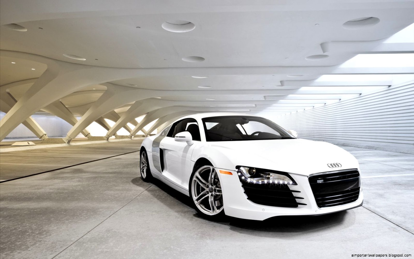 White Audi R8 White Audi R8