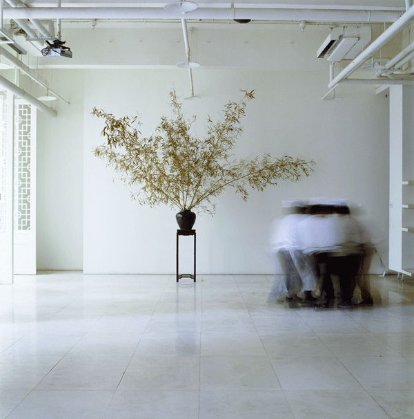 Restaurant Review Green Tea House, Beijing, China