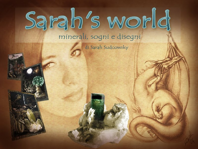 Sarah's World