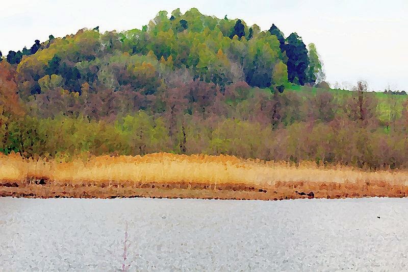 Naturwunder Bei den Rosenthaler Teichen bei Groß Walten in Nordböhmen