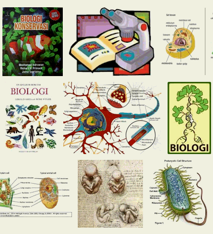 gambar media pembelajaran materi biologi sma