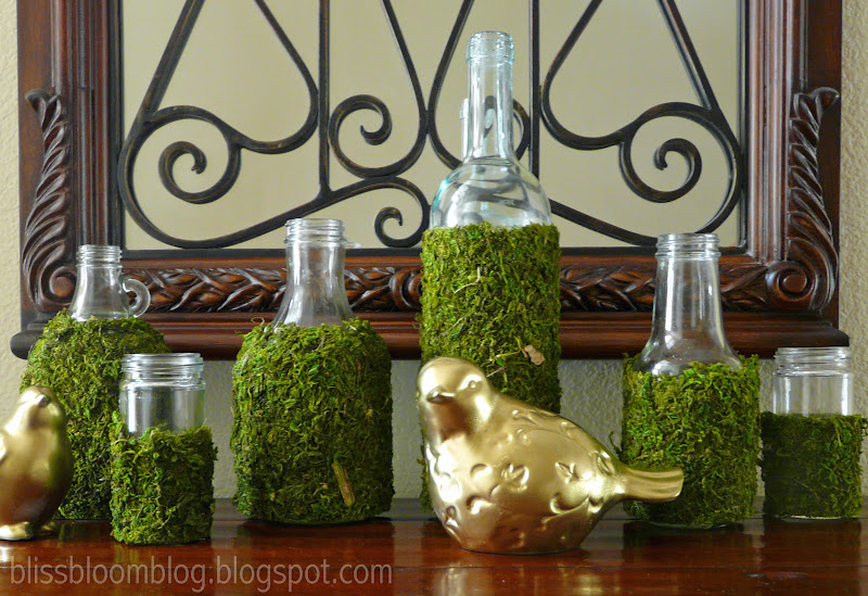 bliss bloom {blog} a craft and lifestyle journal [Upcycle] Moss Vases