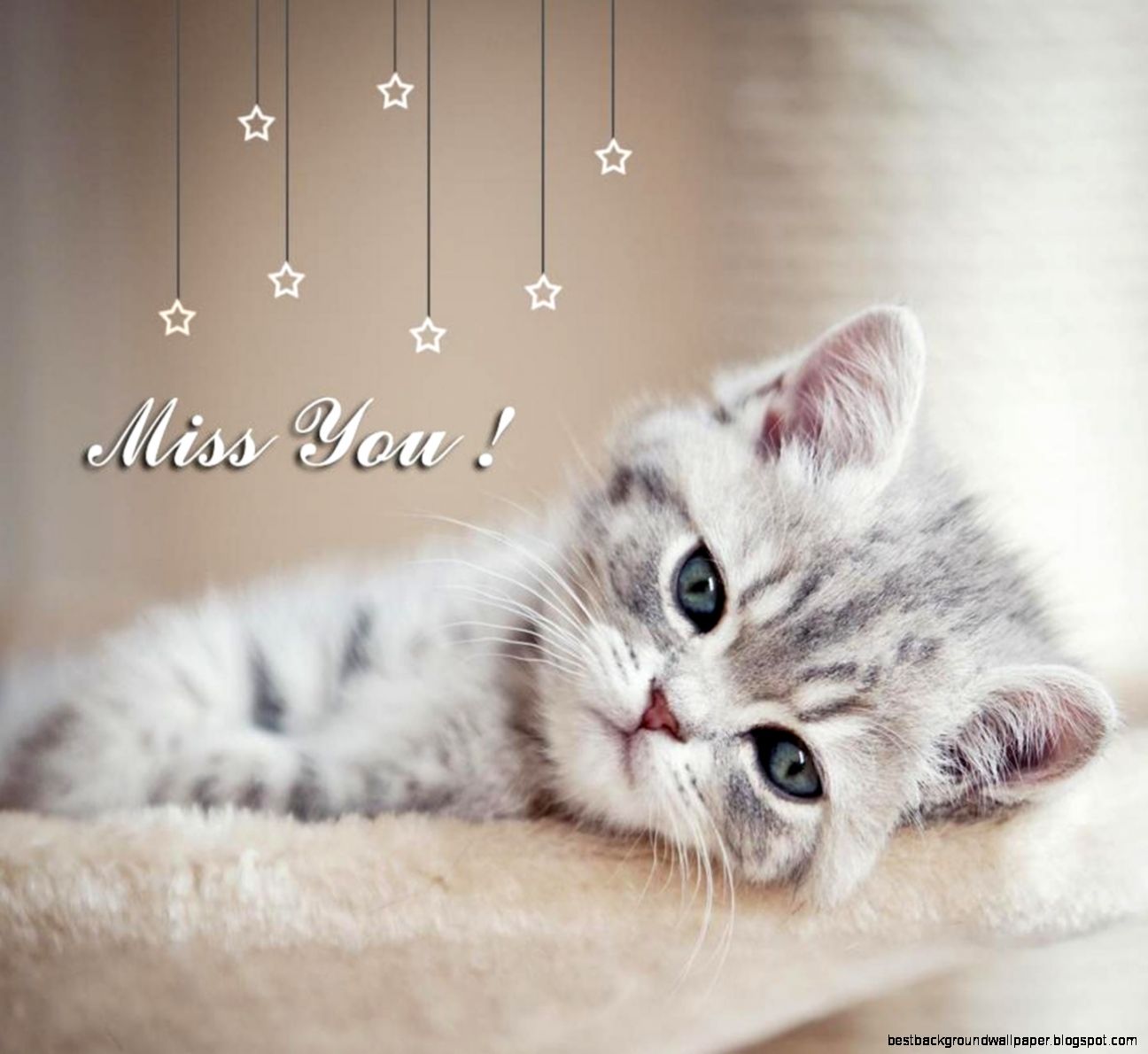 134865d1364969853 cute kitty 134865d1364969853 cute kitty