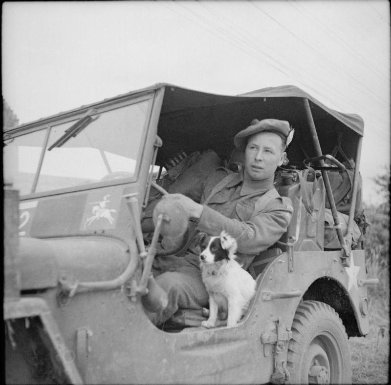Ww2 Pets