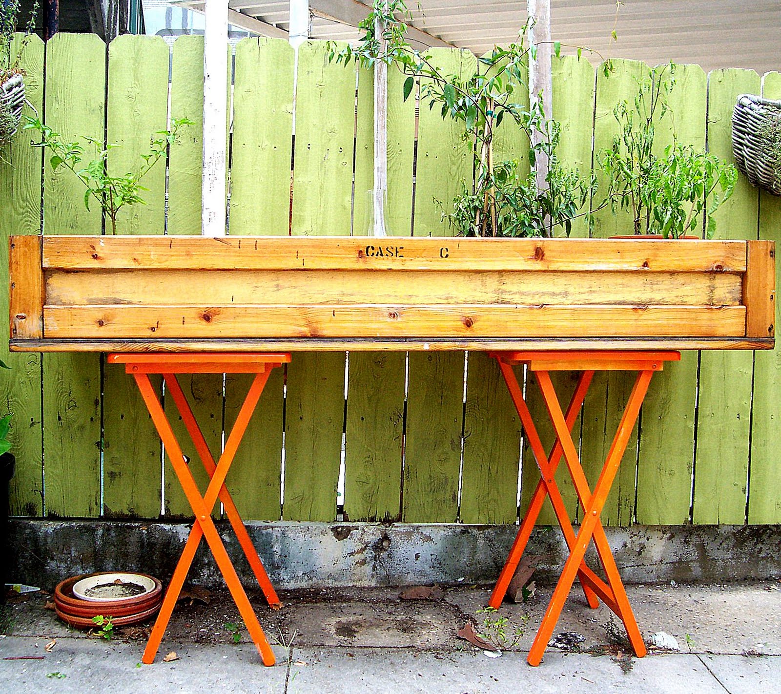 optimism and white paint 08.11