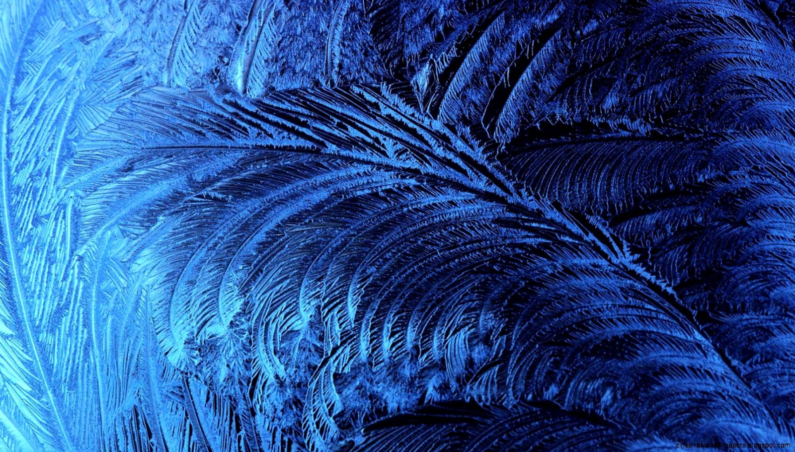 Snow and Ice Crystal Wallpaper Snow and Ice Crystal Wallpaper