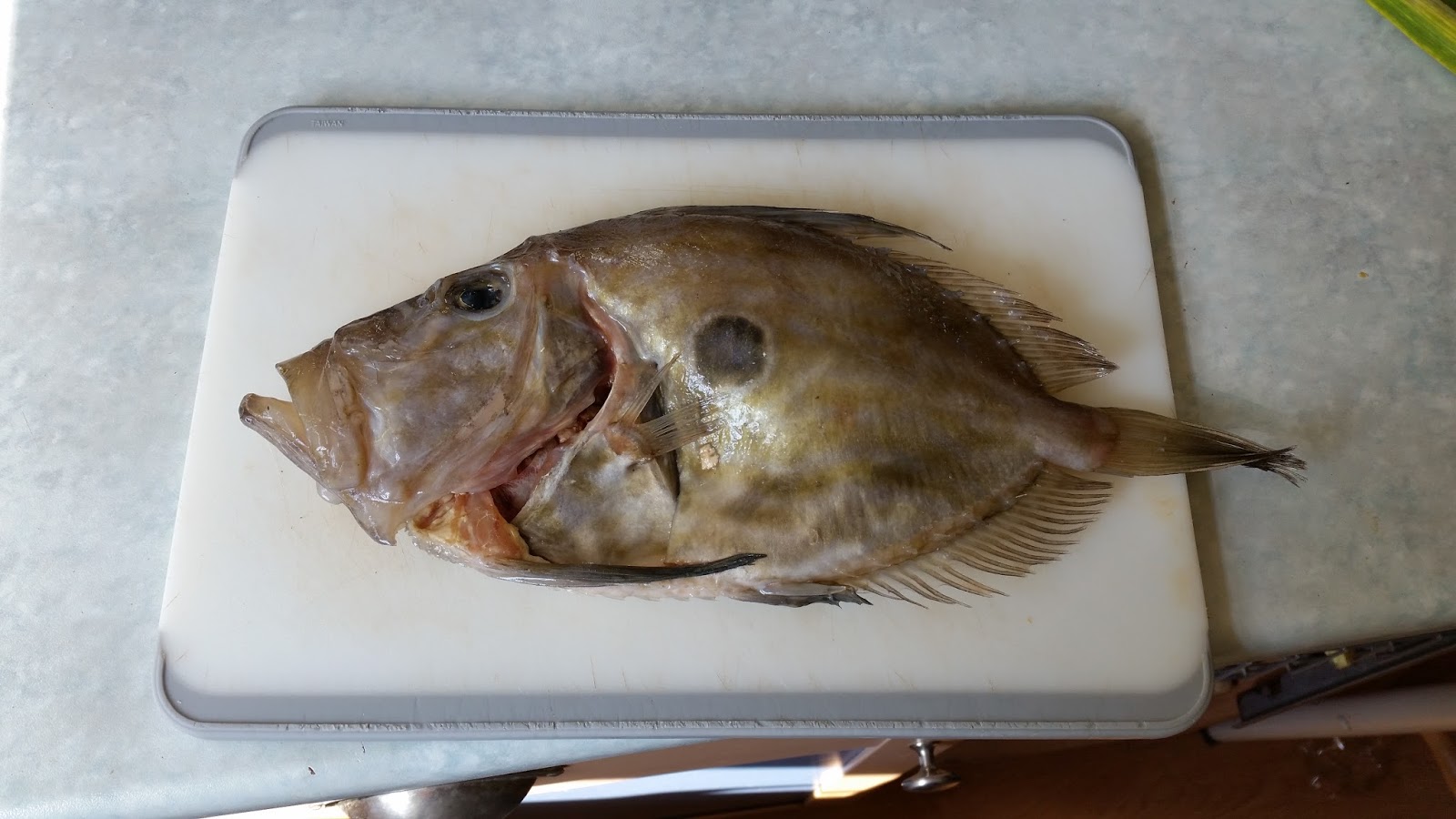 Anglesey42....Food in Words and Pictures A Box of Fish, Fish Recipes