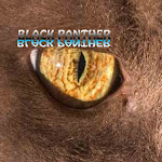 Page Black Panther