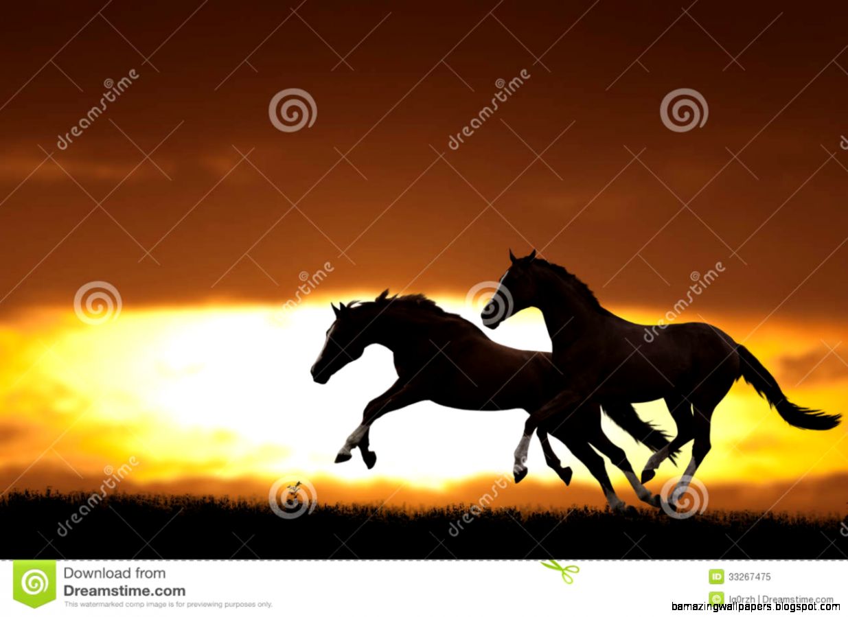 Wild Horses Running And Jumping Royalty Free Stock Photos   Image Wild Horses Running And Jumping Royalty Free Stock Photos   Image