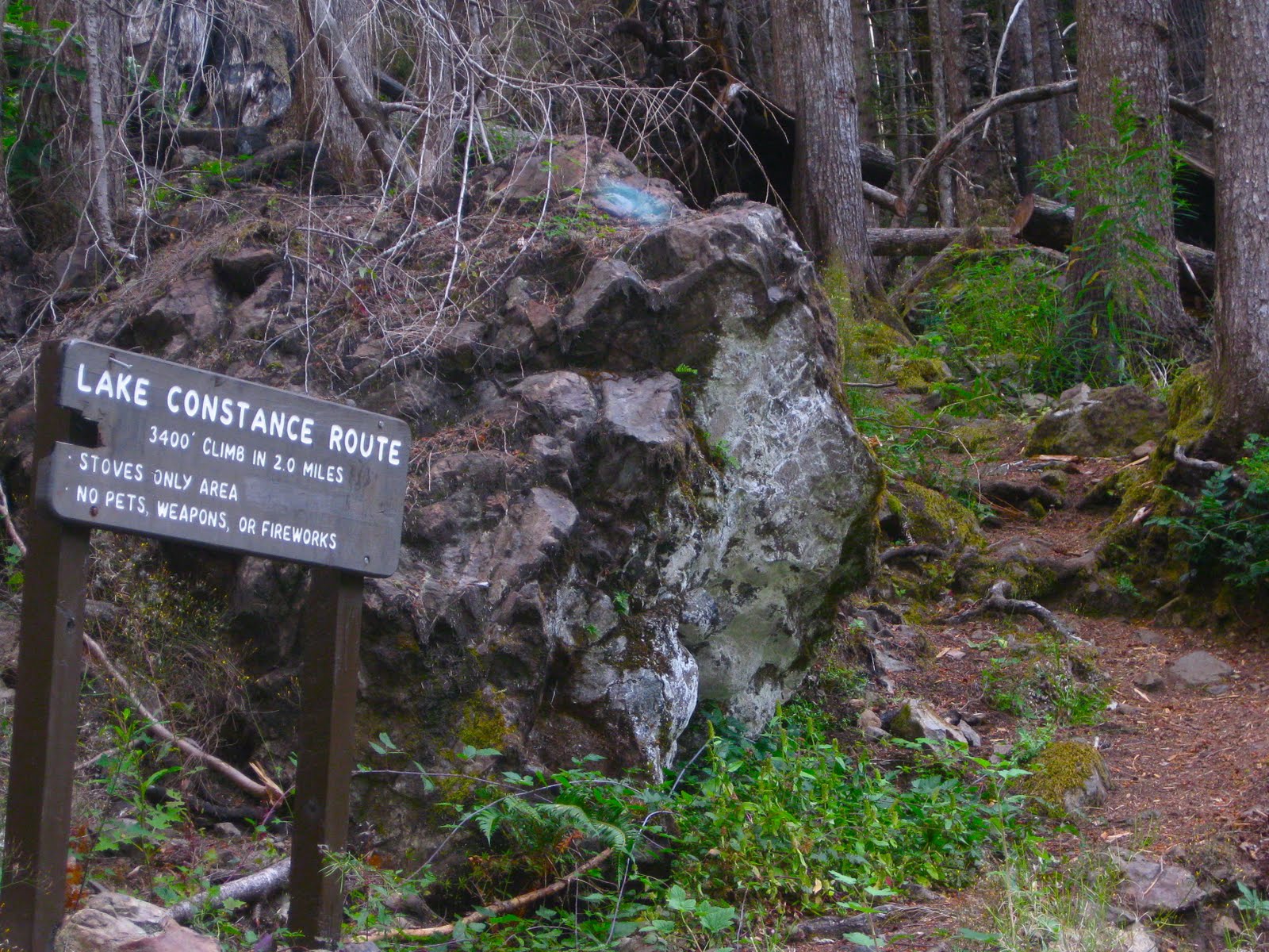 Olympic Peninsula Hikes, Guides and Updates Lake Constance Trail "guide"
