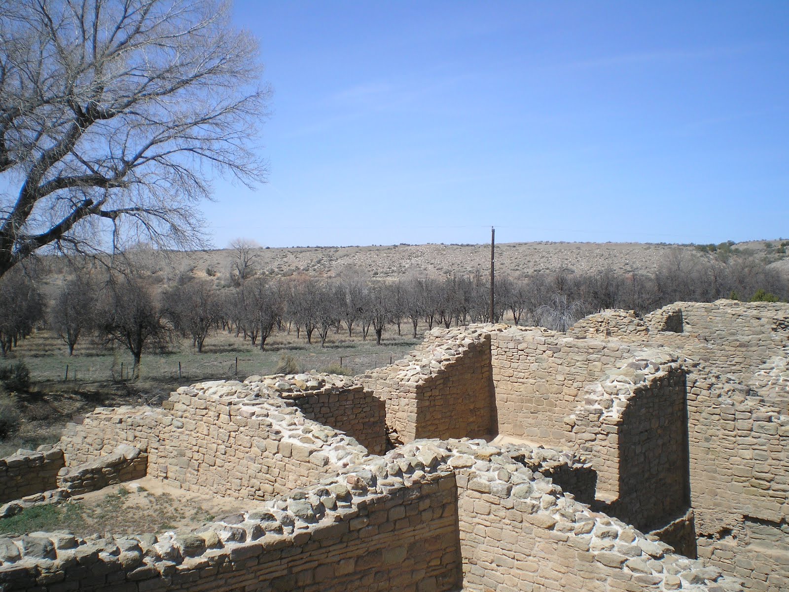 The Road Genealogist Aztec Ruins National Mounument, NM