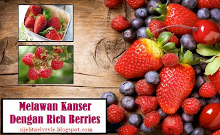 RICH BERRIES Melawan Kanser Dan Penyakit Kronik