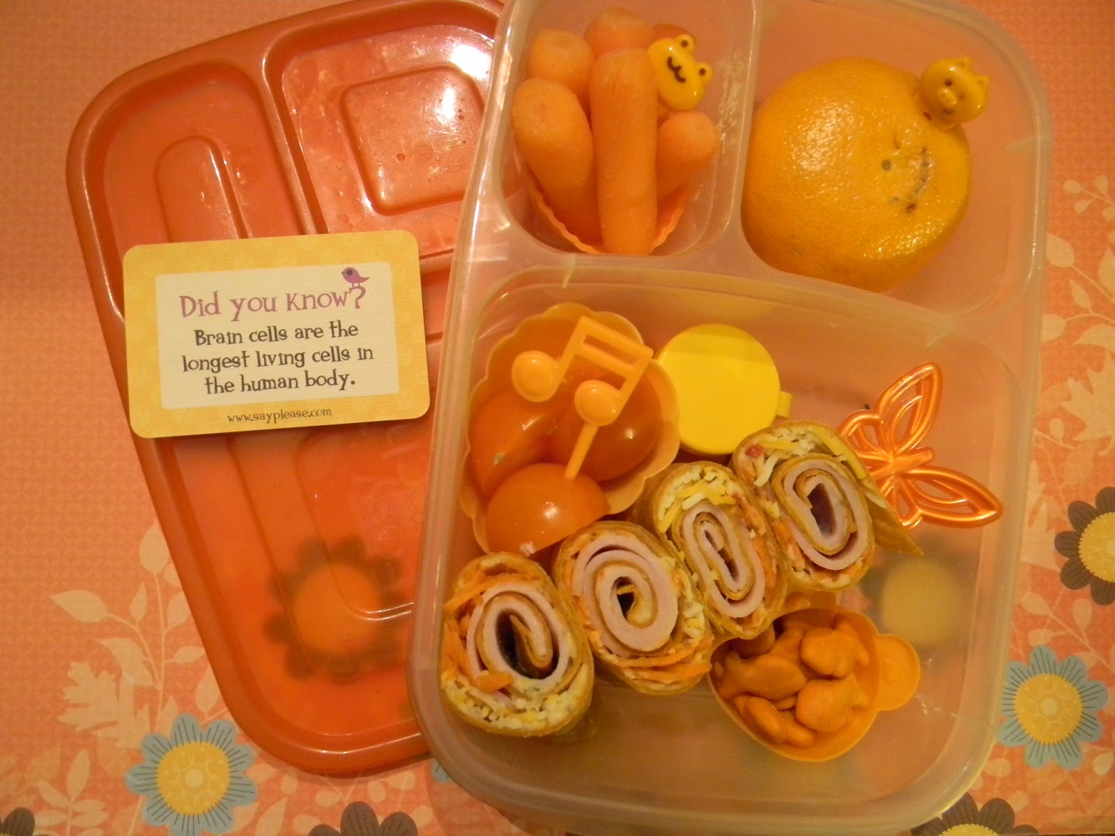 Lunches Fit For a Kid Rainbow Week! 3.26.13 Orange Day Family Lunches