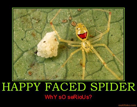 Fun Animals Wiki, Videos, Pictures, Stories: Happy Faced Spider its very  cute