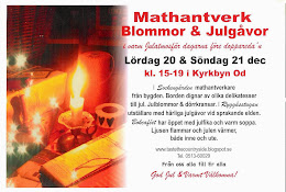 MATHELGEN 20-21 DECEMBER