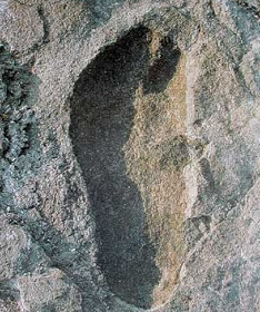 jejak kaki manusia di 70 lapisan batu yang “seharusnya” berusia 3,6 juta tahun.