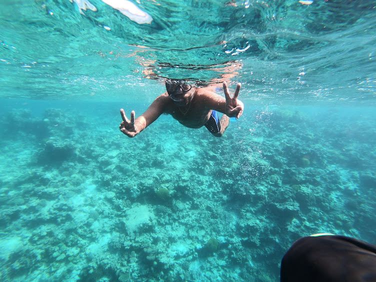 "Turtle Snorkel Safari" off the Coral shelf off Hangnaameedho Island in the deep blue Indian Ocean