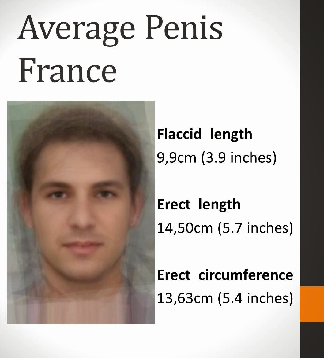 Average Penus Length