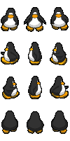Pack de Char do club do Pinguim $penguin+preto