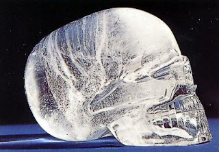 cranio